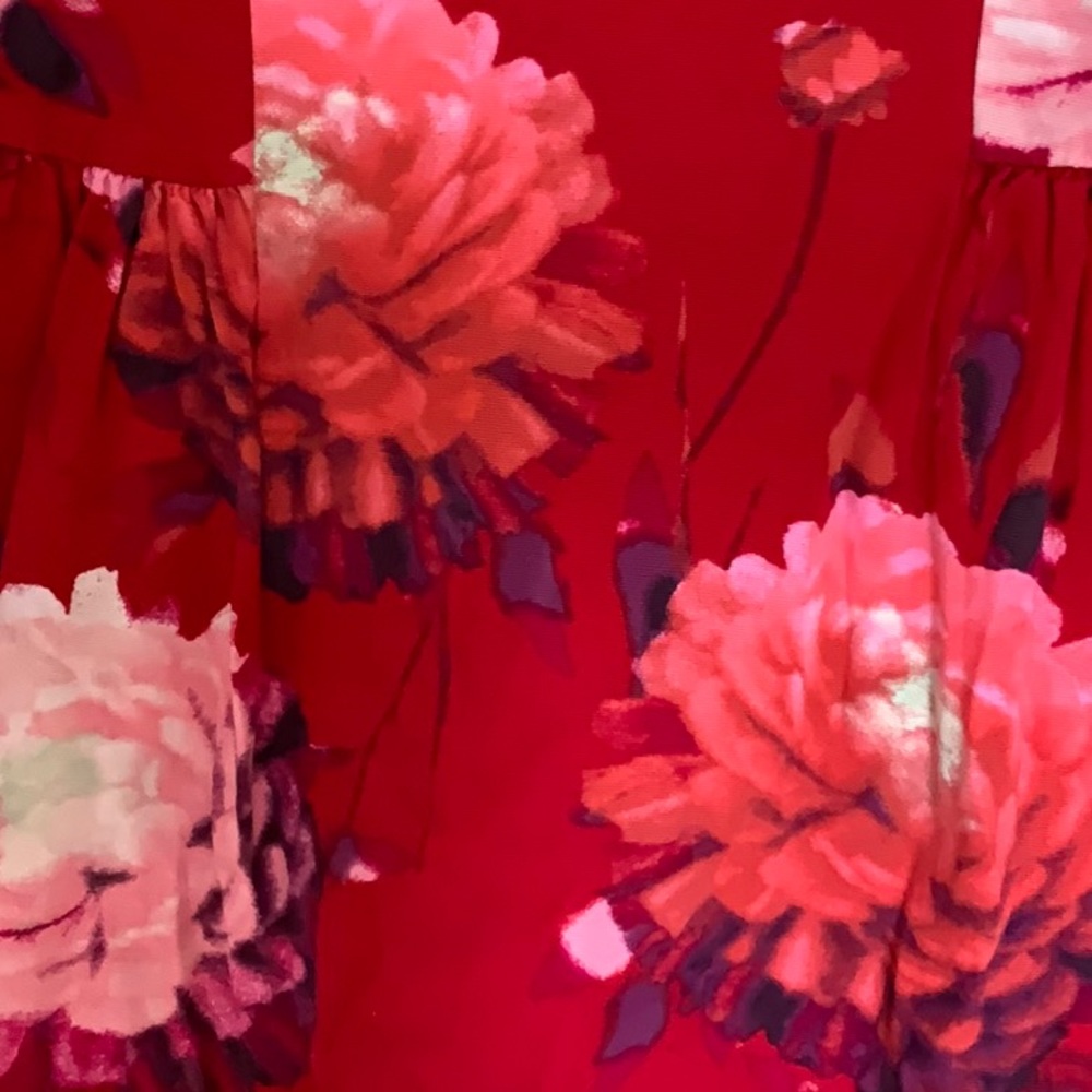 GAP Red Dress with Pink Floral Print in size 10 - Picture 2 of 3